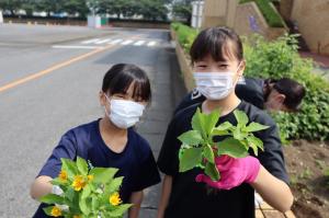 20220619草取り・種まき12