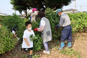 2022年7月3日協和の杜除草作業3