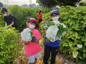 2022年7月3日協和の杜除草作業10