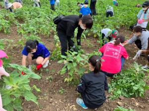 2022.8.6ひまわり除草作業2