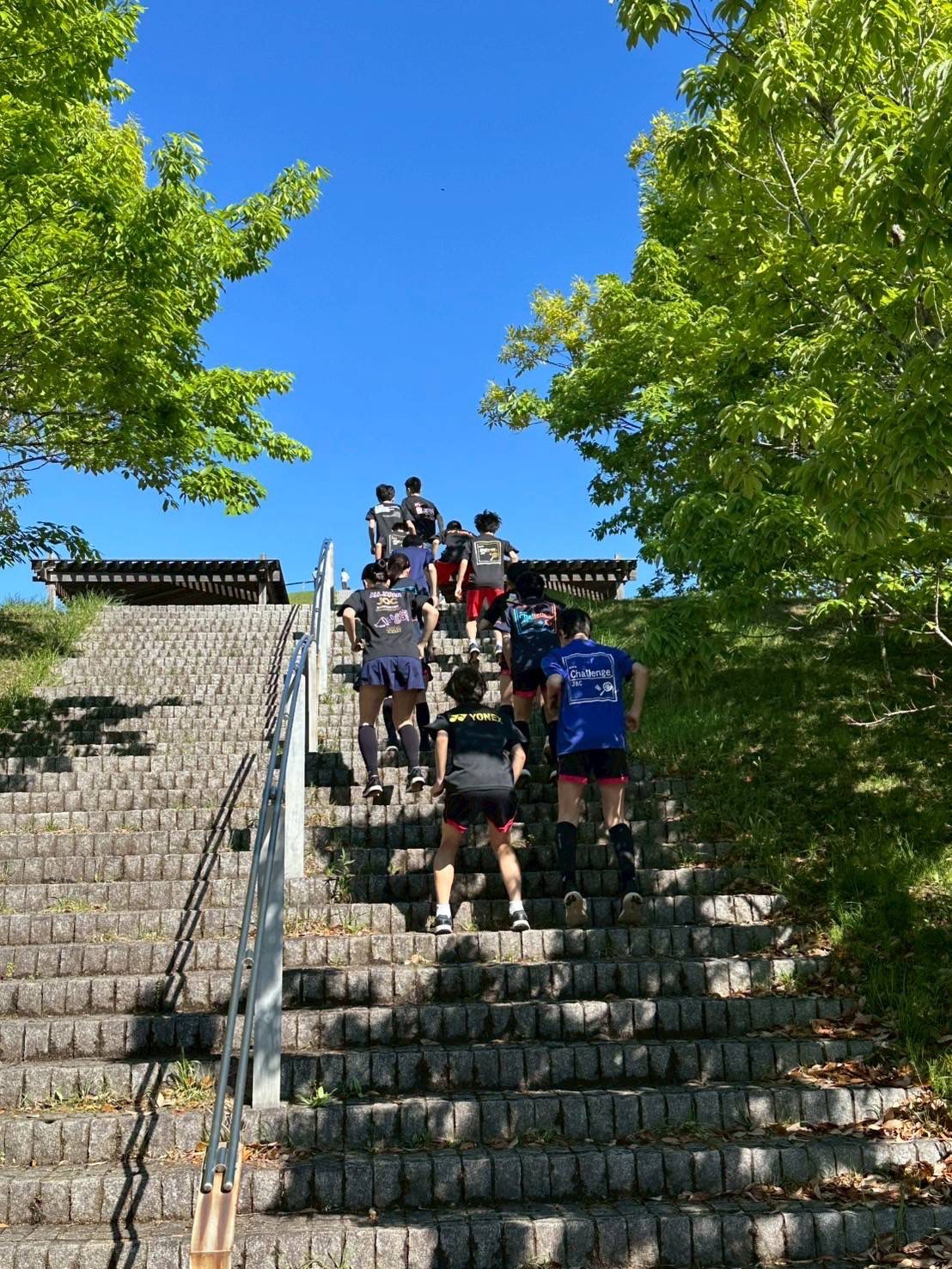 サンプル画像1