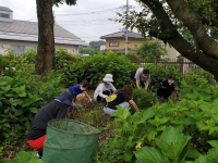 協和の杜除草作業